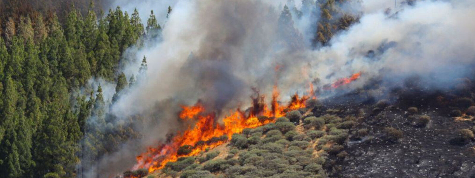 Alerta por incendio
