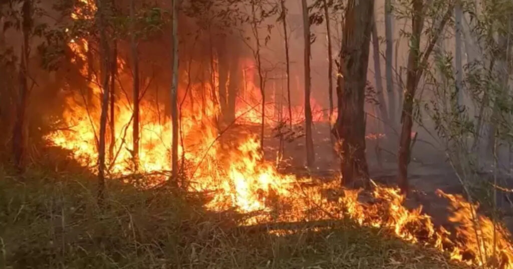 Alerta por incendio