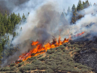 Alerta por incendio Alerta por incendio
